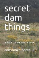 Secret Dam Things