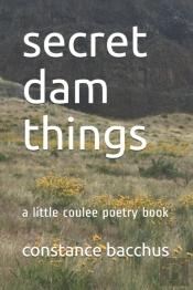 Secret Dam Things