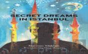 Secret Dreams In Istanbul