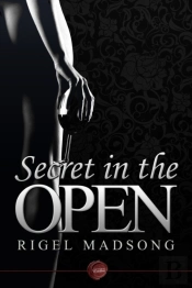Secret In The Open