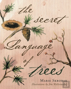 Bertrand.pt - Secret Language Of Trees