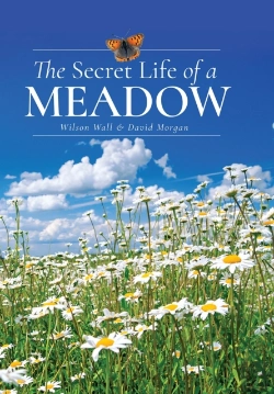 Bertrand.pt - Secret Life Of A Meadow