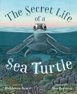 Bertrand.pt - Secret Life Of A Sea Turtle
