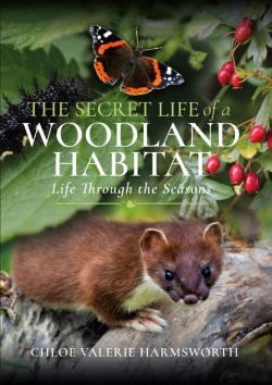 Bertrand.pt - Secret Life Of A Woodland Habitat