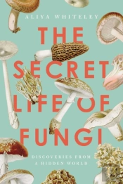 Secret Life Of Fungi