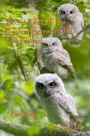 Secret Life Of The Eastern Screech Owl - The Prequel
