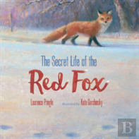 Secret Life Of The Red Fox