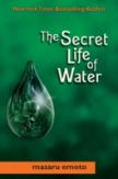 Secret Life Of Water