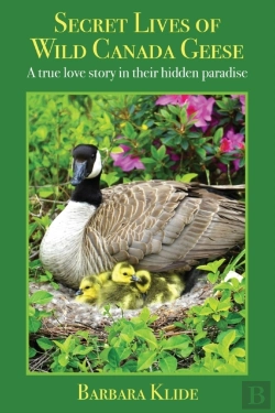 Bertrand.pt - Secret Lives Of Wild Canada Geese