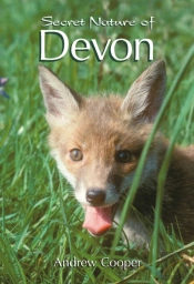 Secret Nature Of Devon