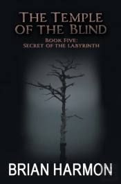 Secret Of The Labyrinth