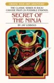 Secret Of The Ninja