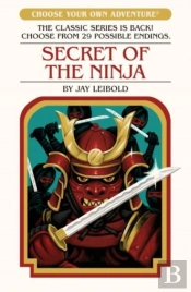 Secret Of The Ninja