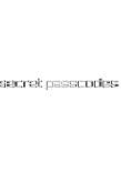 Secret Passcodes Blank Notebook