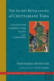 Secret Revelations Of Chittamani Tara