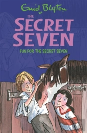 Secret Seven: Fun For The Secret Seven