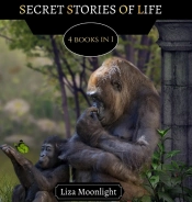 Secret Stories Of Life: 4 Books In 1