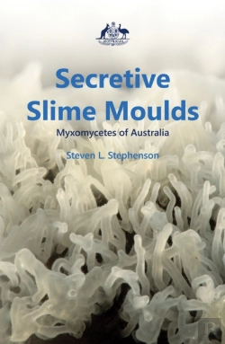 Bertrand.pt - Secretive Slime Moulds