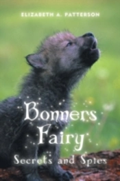 Secrets And Spies: A Bonners Fairy Novel