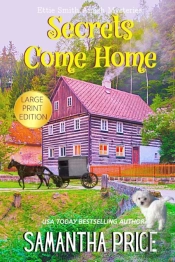 Secrets Come Home Large Print: Amish Sus
