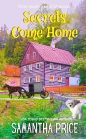 Secrets Come Home