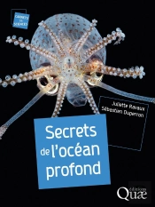 Secrets De L'Océan Profond