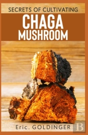 Secrets Of Cultivating Chaga Mushroom
