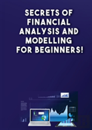 Secrets Of Financial Analysis And Modelling For Beginners!