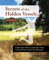 Secrets Of The Hidden Vessels