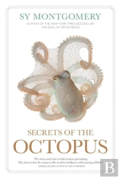 Secrets Of The Octopus