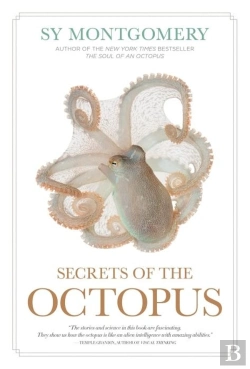 Bertrand.pt - Secrets Of The Octopus
