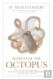 Secrets Of The Octopus