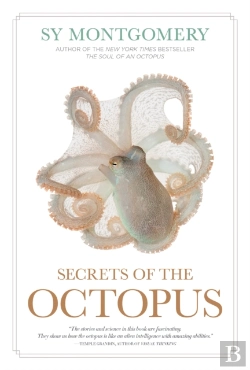 Bertrand.pt - Secrets Of The Octopus