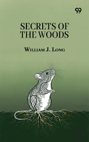 Secrets Of The Woods
