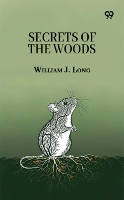 Bertrand.pt - Secrets Of The Woods