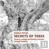 Secrets Of Trees