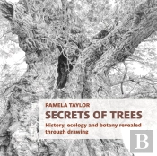 Secrets Of Trees