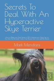 Secrets To Deal With An Hyperactive Skye Terrier