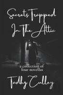 Secrets Trapped In The Attic