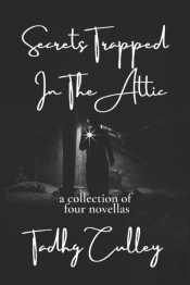 Secrets Trapped In The Attic