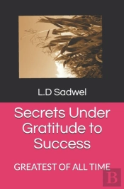 Secrets Under Gratitude To Success
