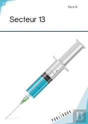 Secteur 13