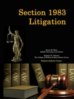 Bertrand.pt - Section 1983 Litigation