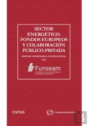 Sector Energetico Fondos Europeos Y Colaboracion Publico Pr