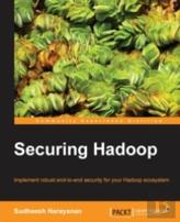 Securing Hadoop
