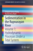 Sedimentation In The Rupnarayan River