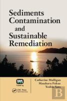 Sediments Contamination And Sustainable Remediation