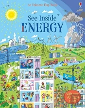 See Inside Energy