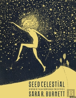 Bertrand.pt - Seed Celestial