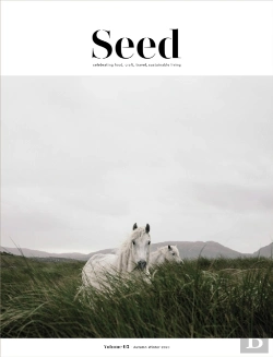 Bertrand.pt - Seed Volume 3